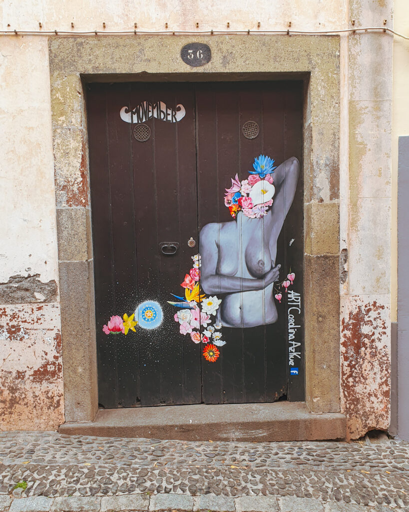 Artistic door in Zona Velha (Old Town), Madeira