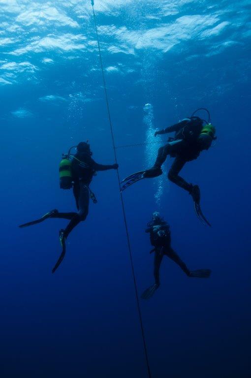 10 Best things to do in Madeira - Scuba diving