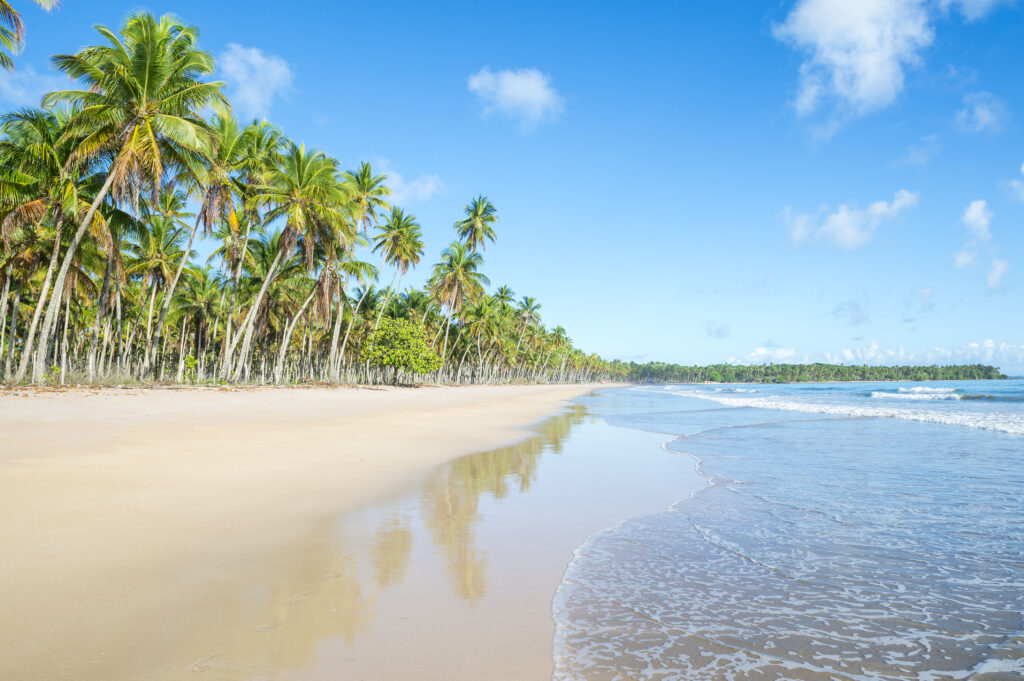 Reasons why you should visit Brazil - Beach in Bahia