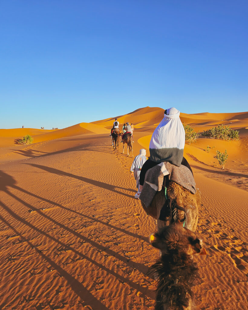 Merzouga Sahara Desert tour camel ride