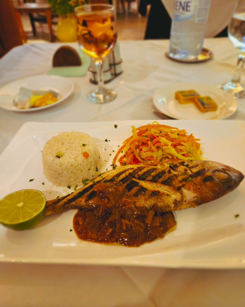 Hotel Neptune dinner consisting of fish, rice and vegetables